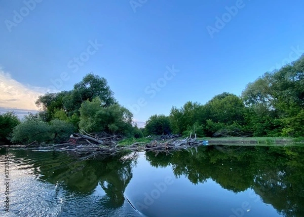 Obraz lake and trees