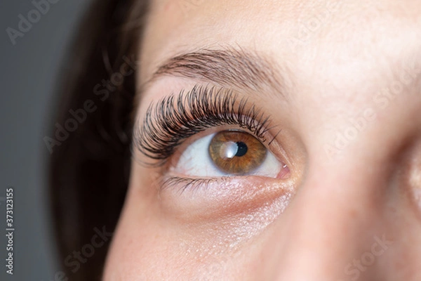 Fototapeta Eyes with Long Eyelashes. Eyelash Extension. Lashes.
