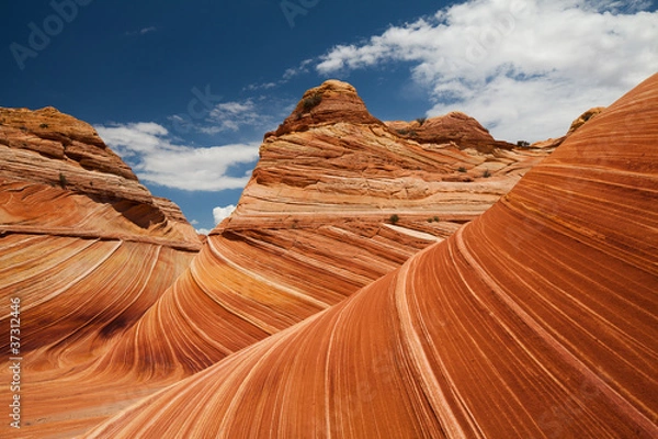 Fototapeta Paria Desert Wave