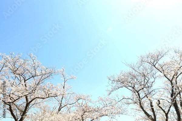 Obraz 空のキャンバス