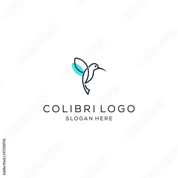 Obraz minimalist monoline line art colibri logo design vector