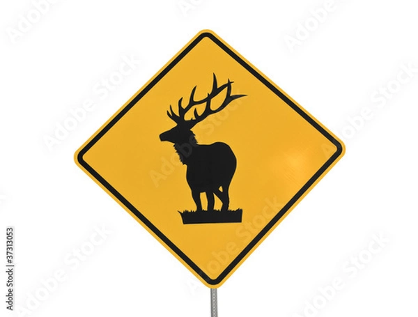 Obraz Elk Caution Sign