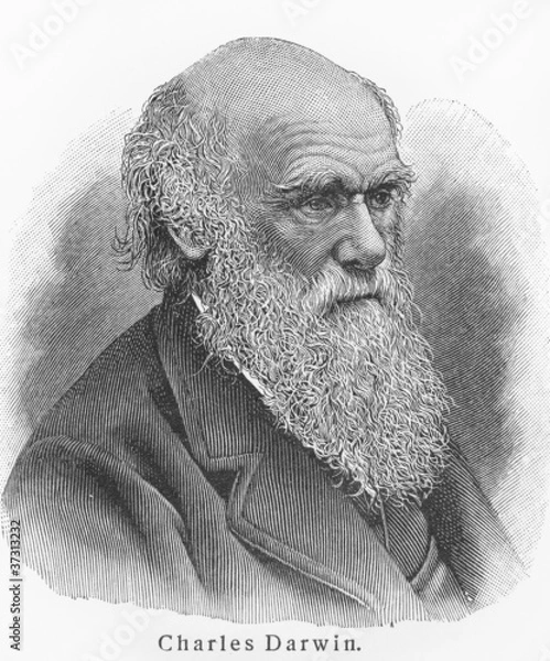Fototapeta Karol Darwin