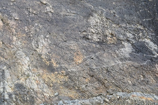 Fototapeta Trace in ichnite left by the Goniopholis dinosaur. Icnite site (dinosaur footprints) La Virgen del Campo, Enciso.