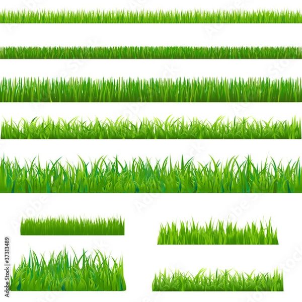 Obraz Big Green Grass