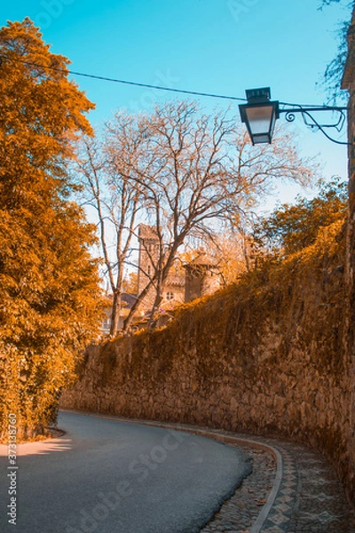 Obraz road in autumn