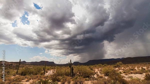 Obraz clouds in the sky