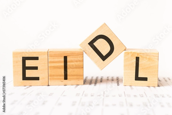 Fototapeta Word EIDL. Wooden small cubes with letters isolated on white background with copy space available.Business Concept image.