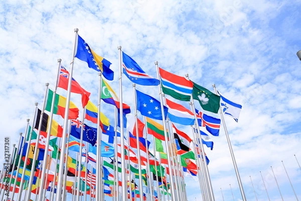 Obraz The world national flags