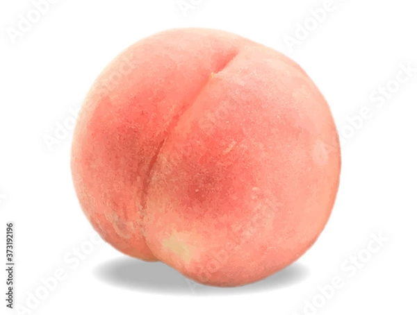 Fototapeta 美味しそうな桃