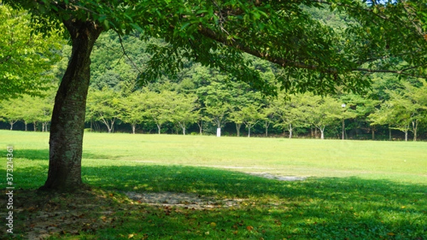 Fototapeta 長谷ダム記念公園