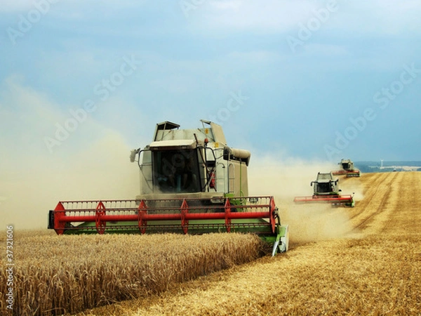 Fototapeta Harvester