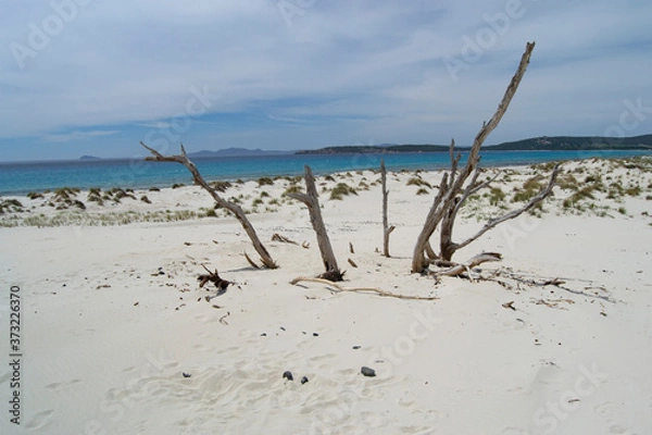 Fototapeta Veduta delle dune e della spiaggia di Arenas Biancas