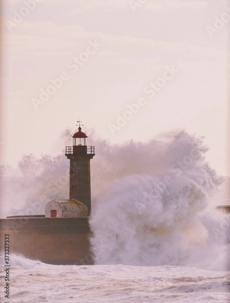 Fototapeta lighthouse on the coast