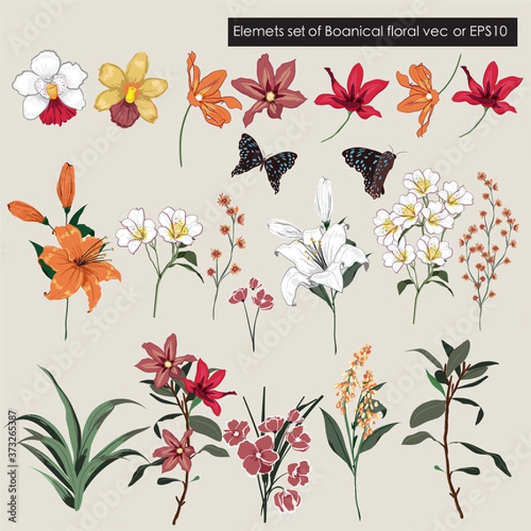 Fototapeta Vector Big Set garden floral elements - wildflower, meadow and leaf collection vector EPS10,  Hand drawn Illustration isolated on light cream background