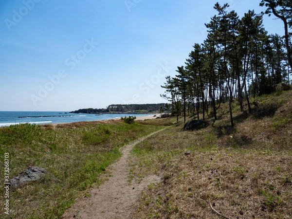 Obraz A view of the trail along the ocean with blue sky. The Michinoku Coastal Trail in Aomori Prefecture, Japan.