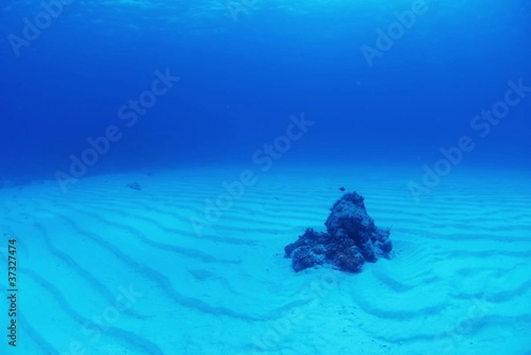 Fototapeta 白い砂地の波紋と岩