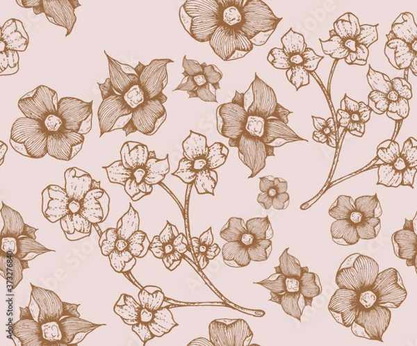 Fototapeta Paper texture background, real cardboard pattern