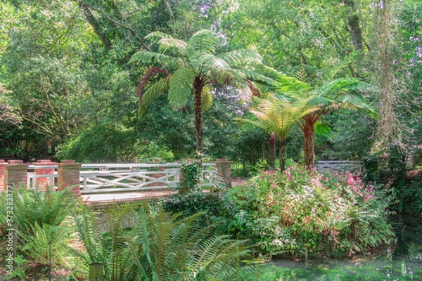 Fototapeta Bridge over the river