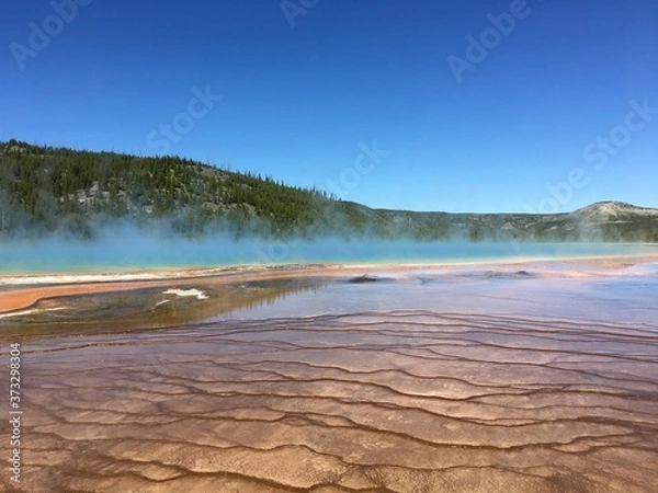 Obraz Emerald Spring