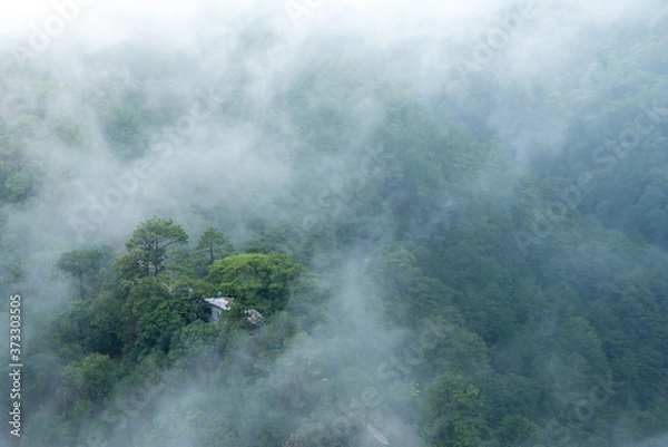 Obraz fire in the fog