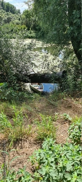 Obraz duck in the forest