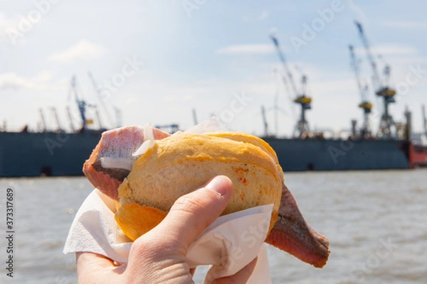 Fototapeta Matjes Fischbrötchen in hand in front of harbor cranes at the port of Hamburg at the Landungsbrücken in sunshine.