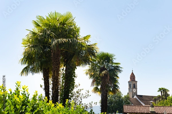 Fototapeta View of the San Martino Chiesa Church by Ronco Sopra Ascona with Palms in sunshine.