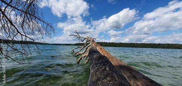 Obraz old wooden boat