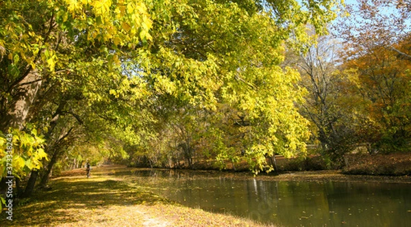 Obraz Autumn Fall Colors Orange Red