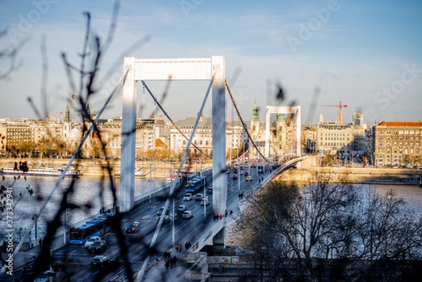 Obraz Liberty Bridge in Budapest
