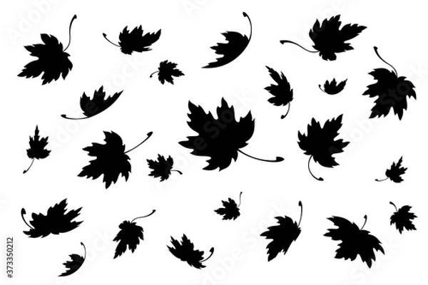 Fototapeta Maple leaves. Autumn background template with flying and falling leaves. Black silhouette. Isolated. Vector