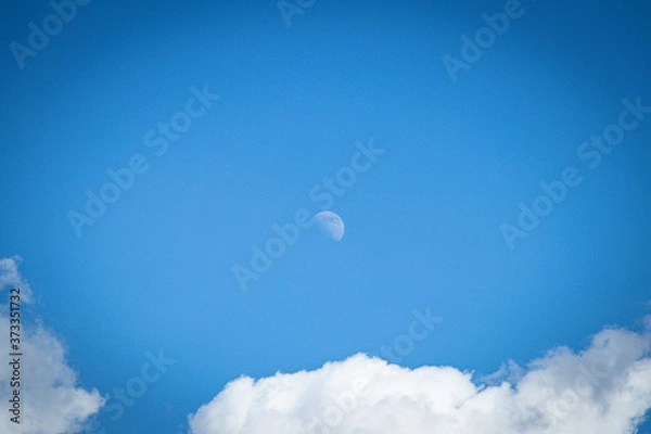 Fototapeta moon and clouds