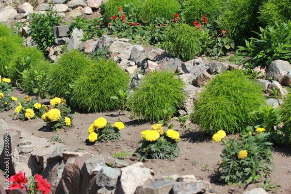 Obraz Фрагмент ландшафтного дизайна из к