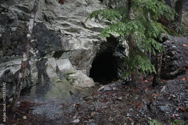 Obraz mine