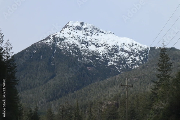 Obraz snowy mountain