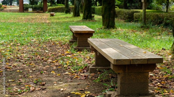 Fototapeta 秋の城山公園　落ち葉とベンチ