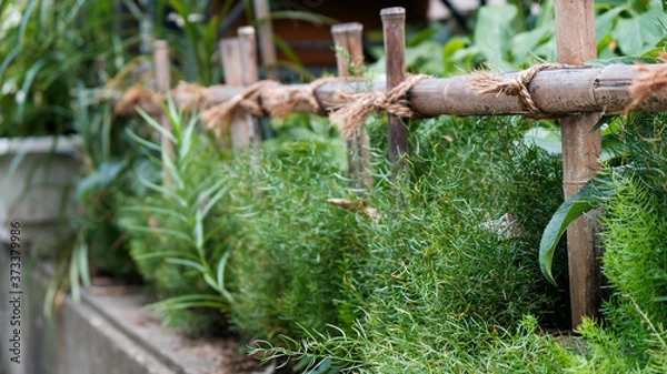 Obraz 秋の城山公園　グリーンウォール