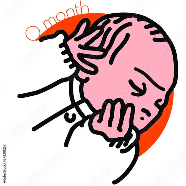 Fototapeta 0month-目を閉じて寝ている新生児のイラスト