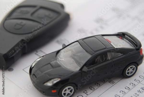 Obraz 自動車検査証