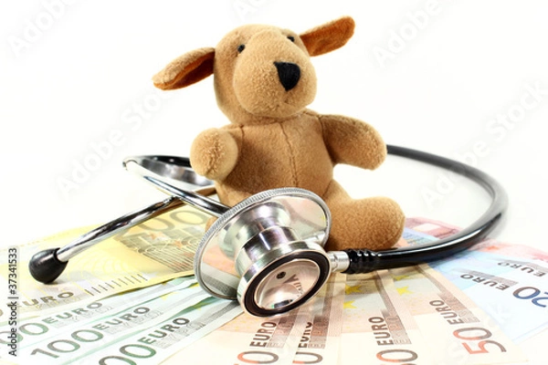 Fototapeta Tierarztkosten