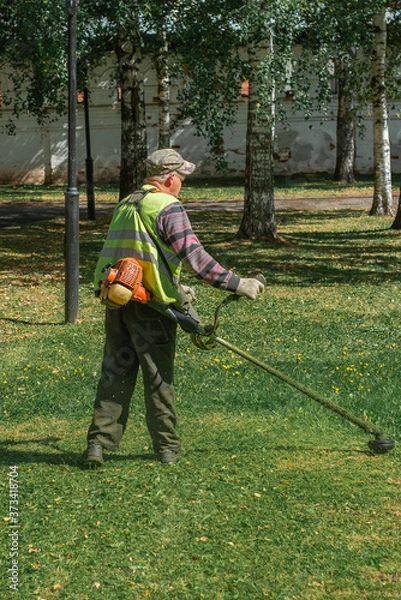Fototapeta a man mows the grass on the lawn with a trimmer