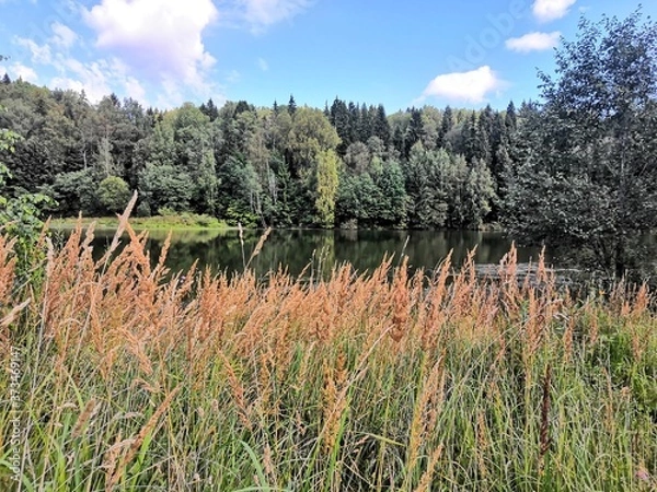 Obraz landscape with flowers