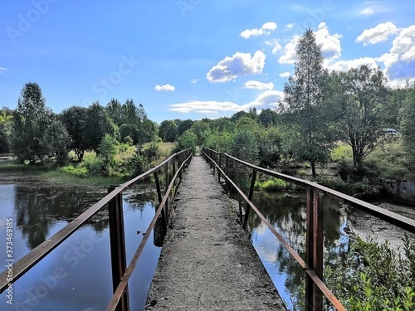 Obraz bridge over the river