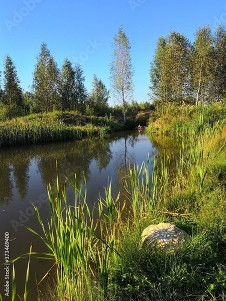 Obraz lake in the forest