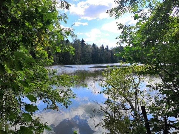 Obraz lake in the forest