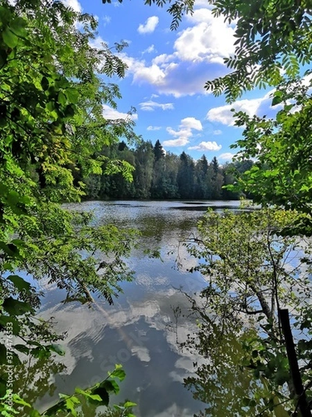 Obraz lake and forest