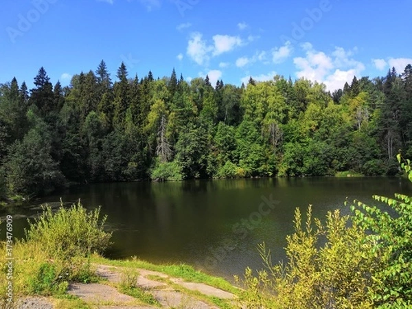 Obraz lake in the forest