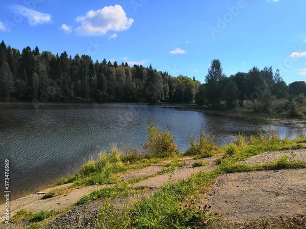 Obraz lake in the forest