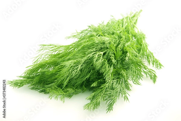 Obraz dill bunch